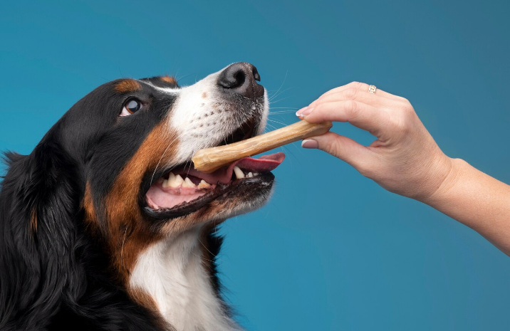 Healthy Dog Treats