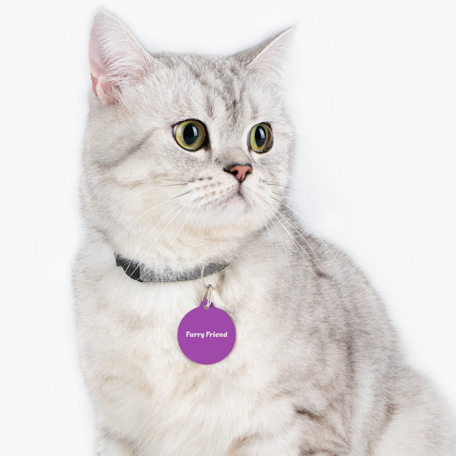 Cat Pet Tag - PawrPose