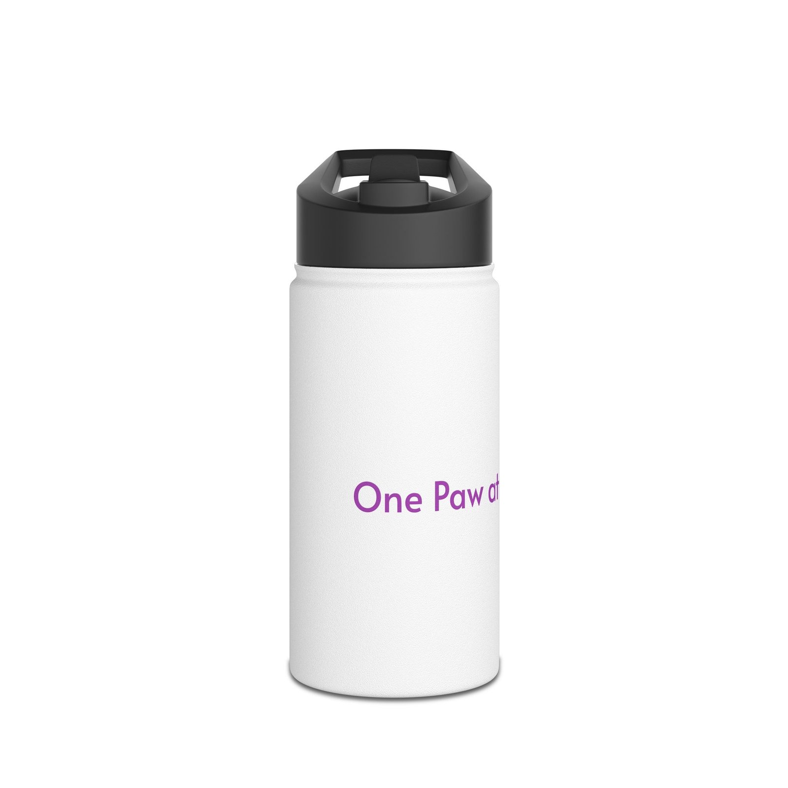 Stainless Steel Water Bottle