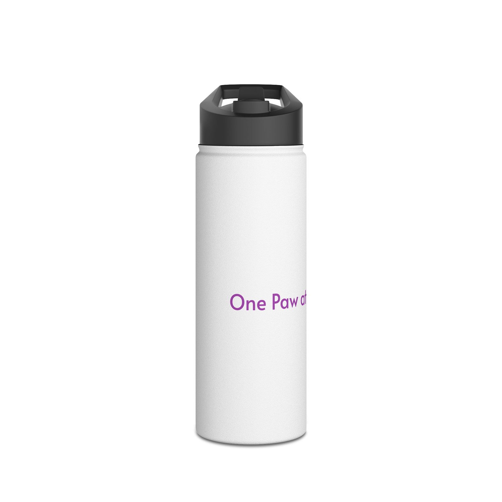 Stainless Steel Water Bottle