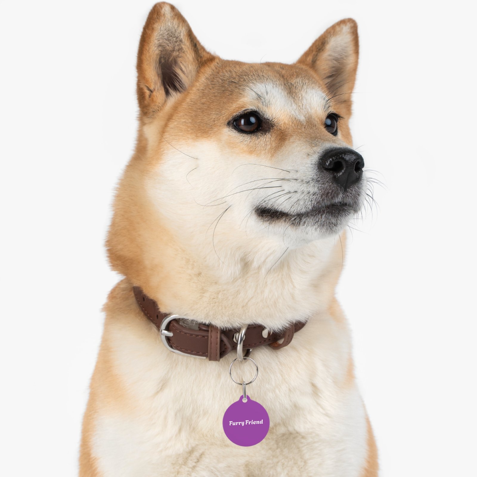 Dog Pet Tag - PawrPose