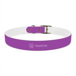 Purple Dog Collar