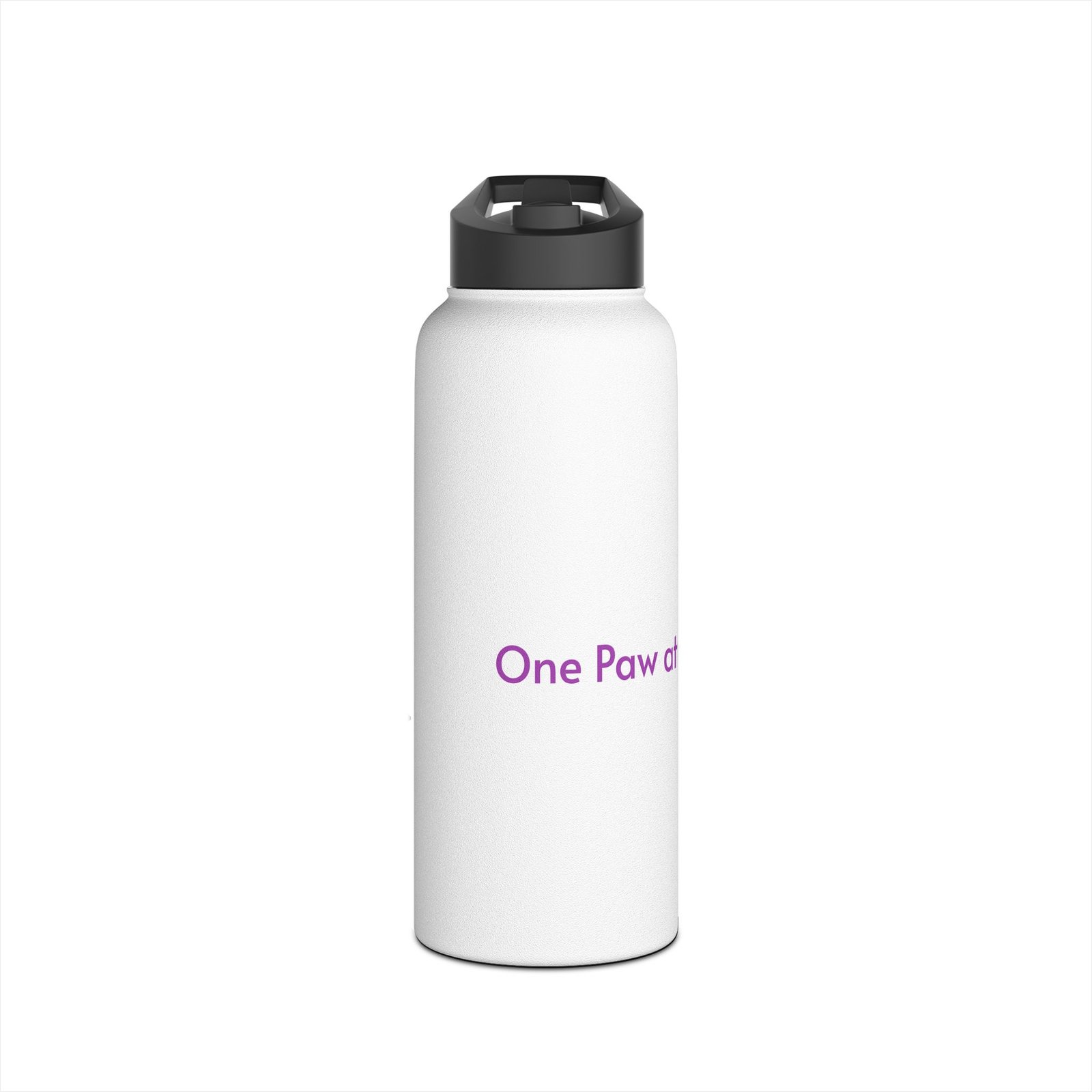 Stainless Steel Water Bottle
