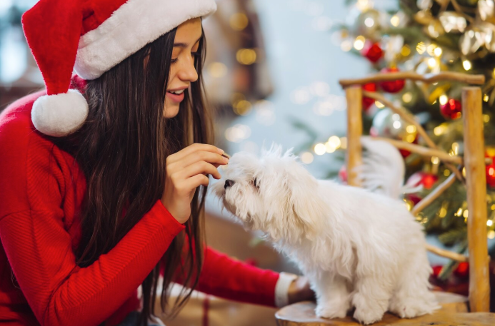 Dog-Safe Holiday - PawrPose