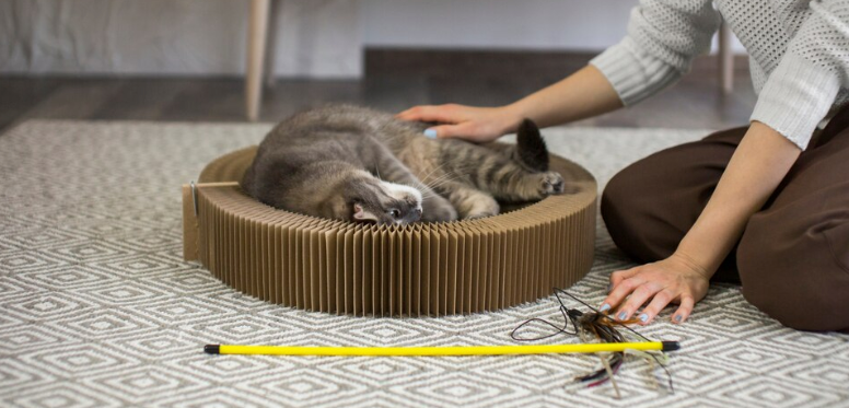 Cat Toys & Furniture - PawrPose