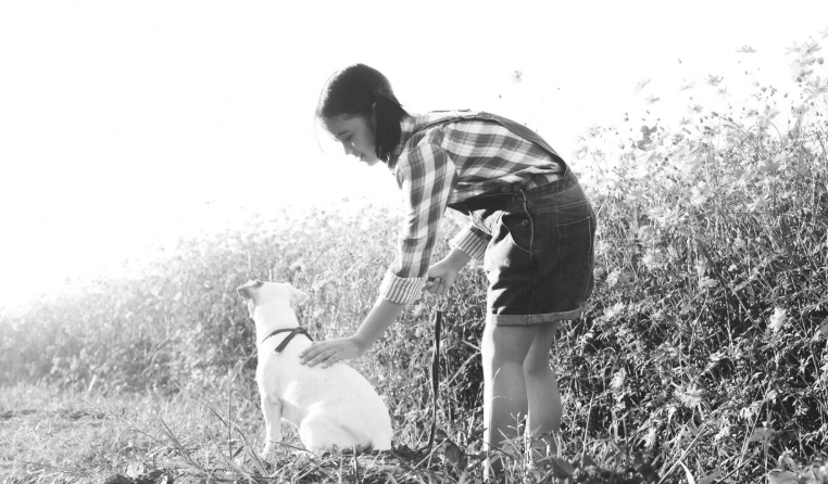 Animal Shelter - PawrPose