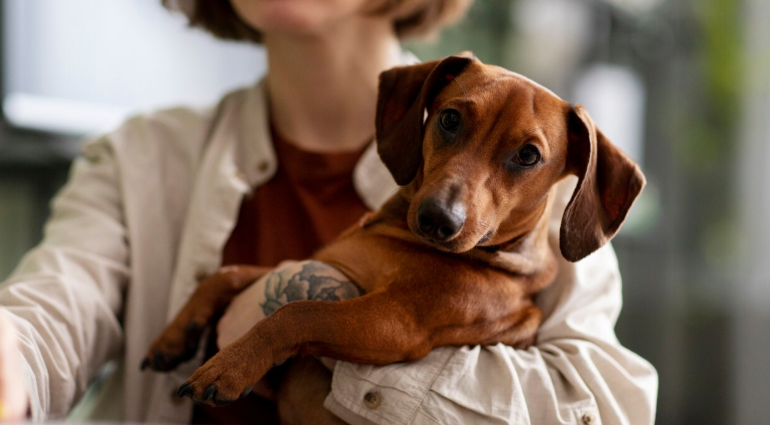 Pet owner holding her dog, showing trust and the benefits of dog ownership