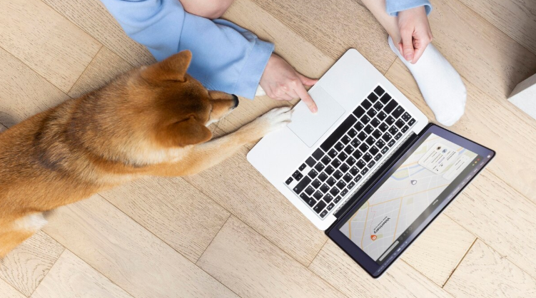 Animal Rescue DE USA - PawrPose