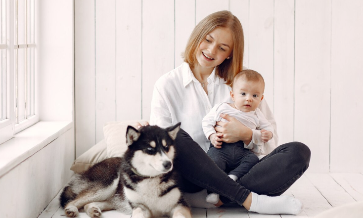 adopting a dog DE - PawrPose