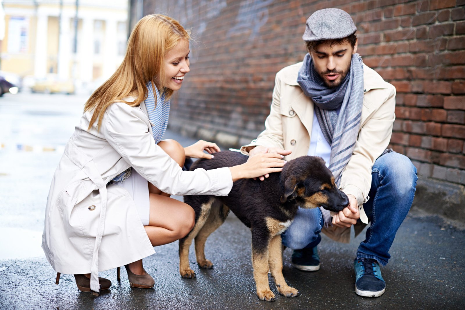 Pet owners comforting a found black dog in a public place after it was lost