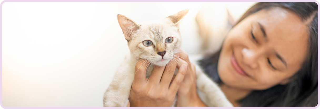 Cat Adoption