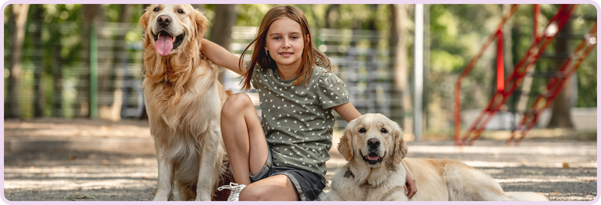 Adopt Puppy, Adult, or Senior