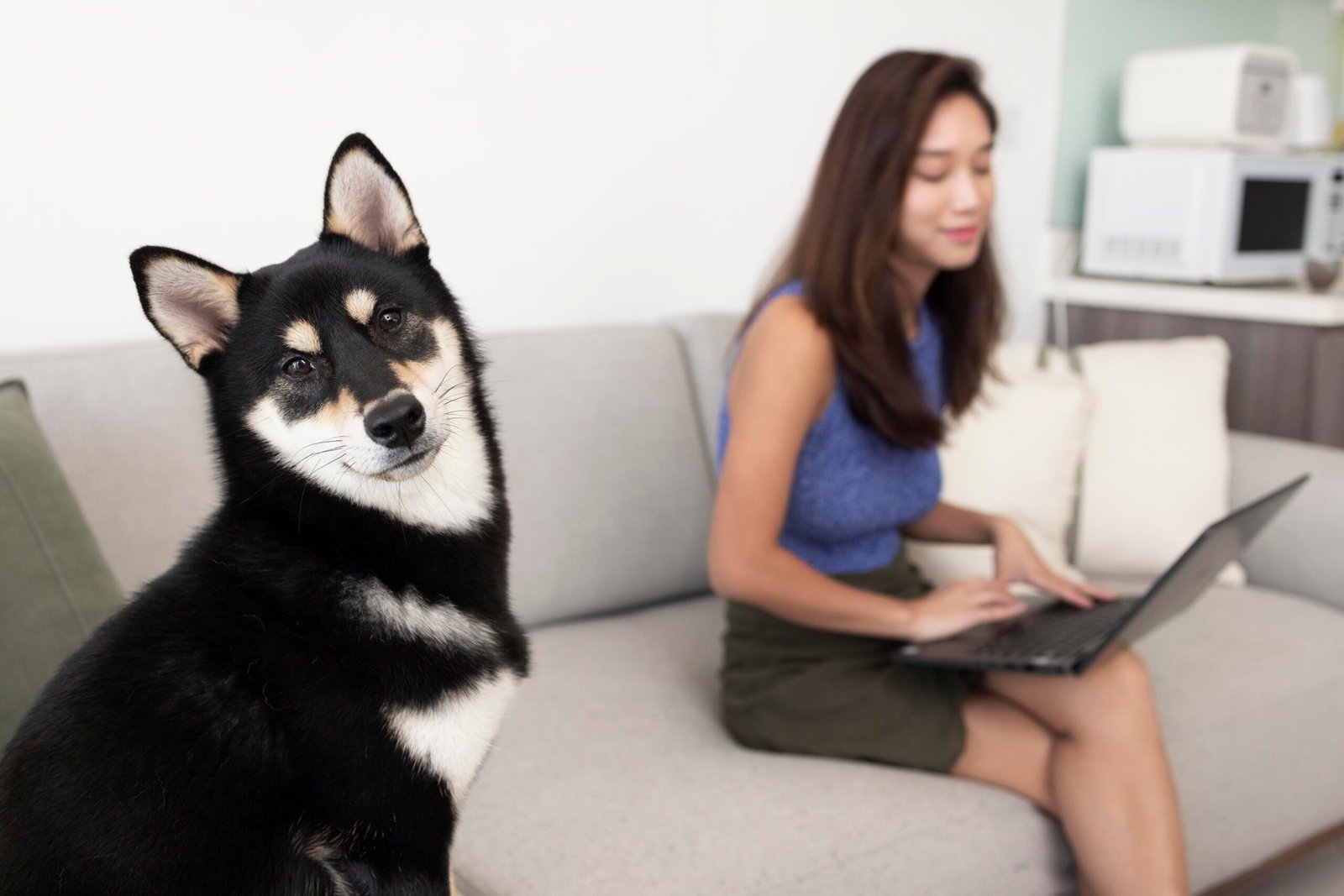 Woman checking AI services pet care while dog looking at the camera.