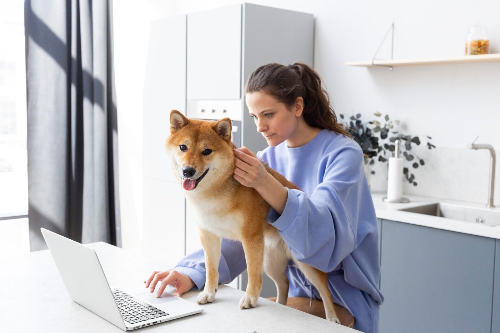 A happy dog wearing a smart collar next to a laptop, representing intelligent pet care technology at home.